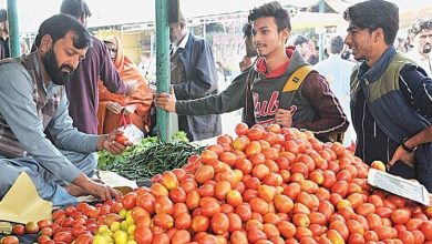 Photo of महंगाई से परेशान हुआ पाकिस्तान, टमाटर के रेट जानकर चौक जाएँगे आप